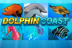 Play Dolphin Coast slot at Pin Up