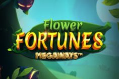 Play Flower Fortunes Megaways slot at Pin Up