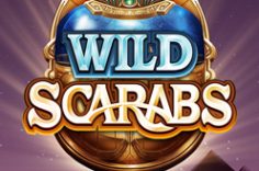 Play Wild Scarabs slot at Pin Up